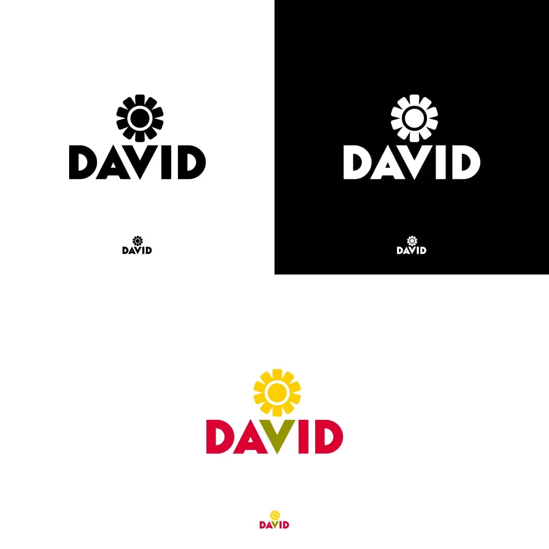 David sunflower seeds logo redesign